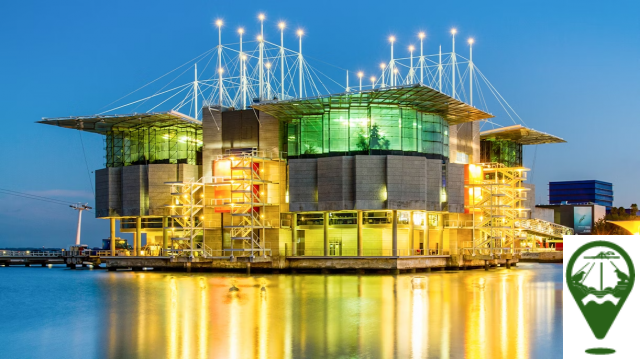 Lisbon Oceanarium: Marine Wonders